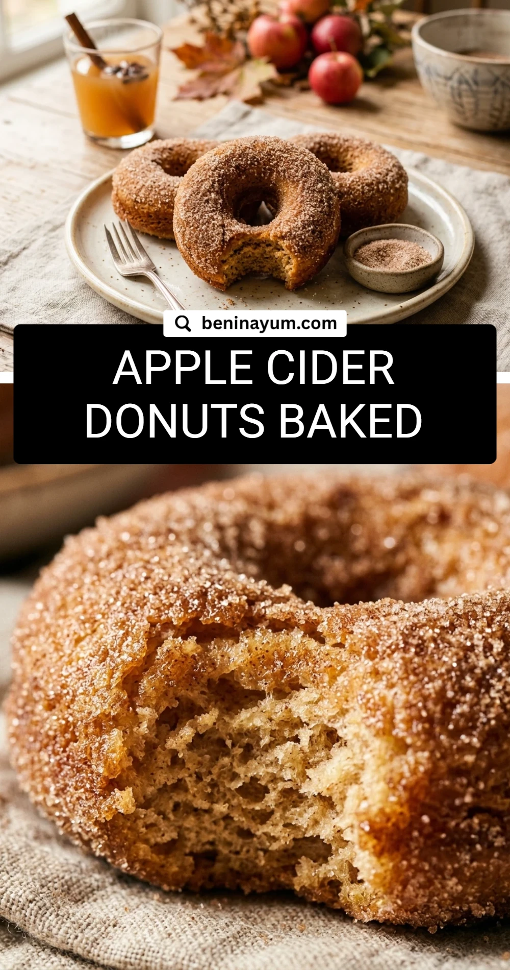 Apple Cider Donuts Baked