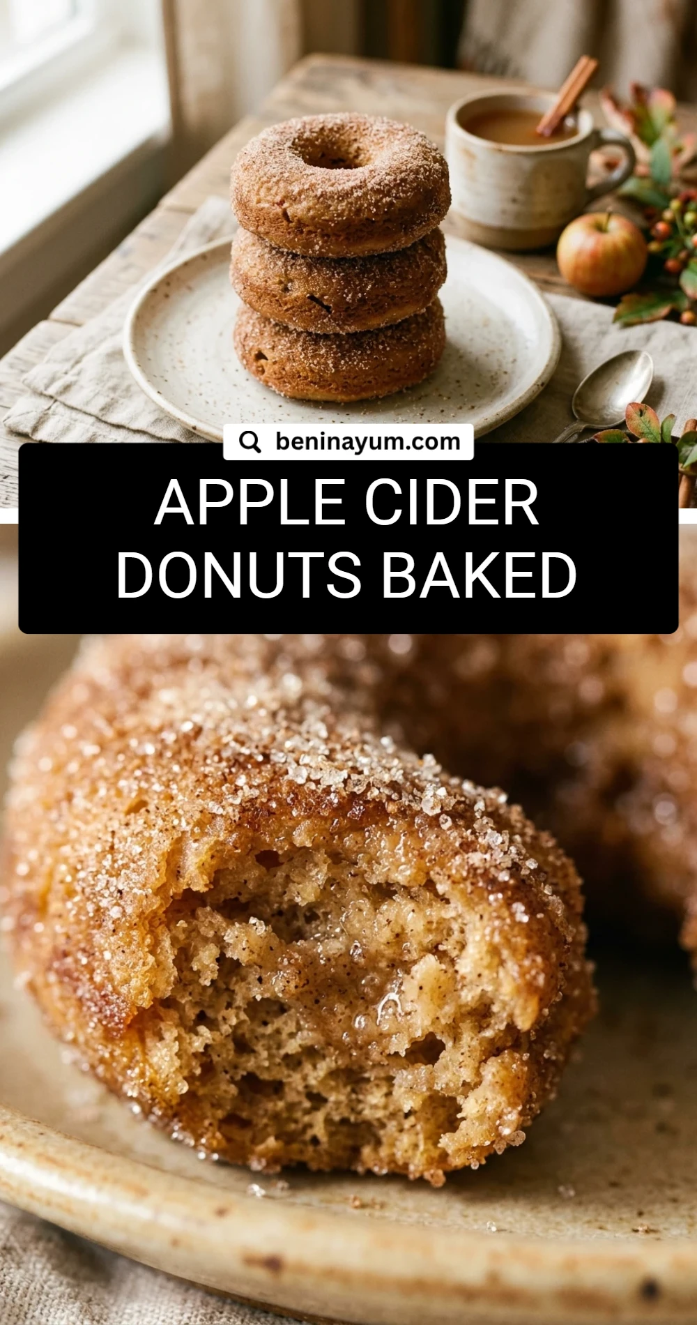 Apple Cider Donuts Baked