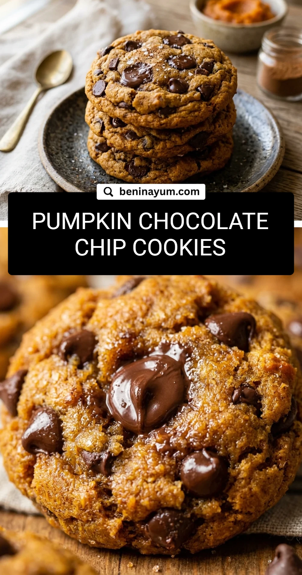 Pumpkin Chocolate Chip Cookies
